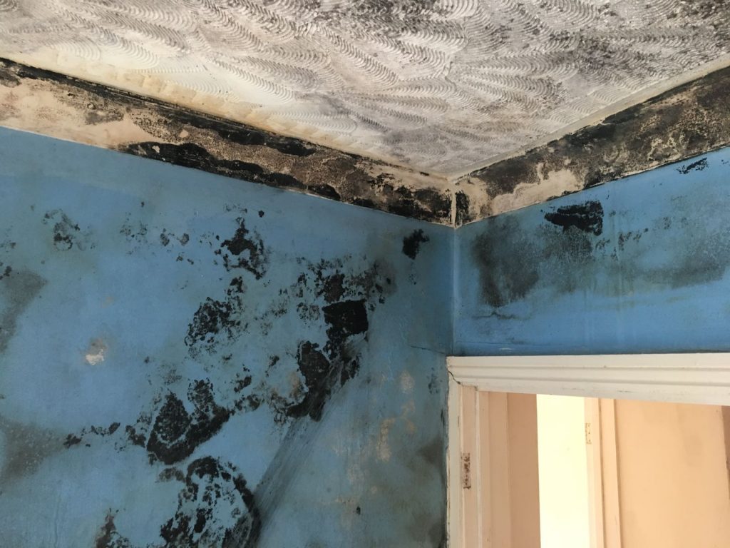 Condensation and Damp problem caused by faulty cavity wall insulation 